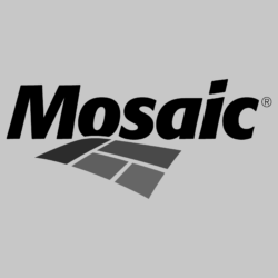 Logo Mosaic